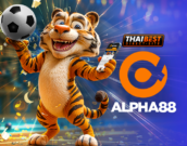 เว็บพนันออนไลน์ เว็บตรง ALPHA88